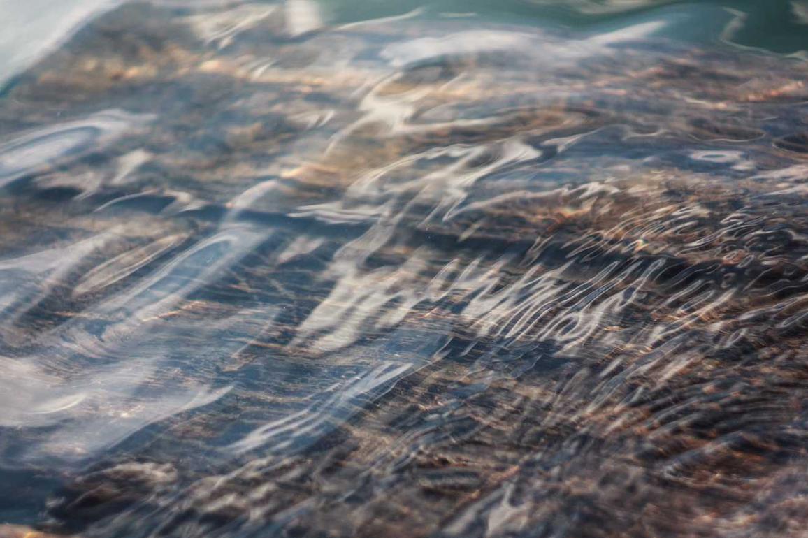 Et omnis sit aut occaecati